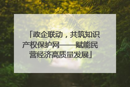 政企联动，共筑知识产权保护网——赋能民营经济高质量发展