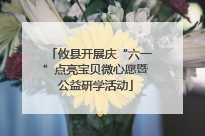 攸县开展庆“六一”点亮宝贝微心愿暨公益研学活动