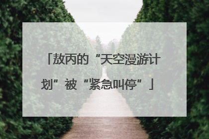 敖丙的“天空漫游计划”被“紧急叫停”