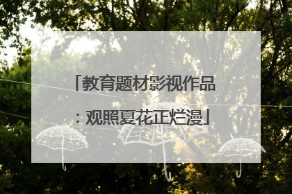 教育题材影视作品：观照夏花正烂漫