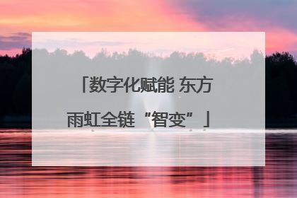 数字化赋能 东方雨虹全链“智变”