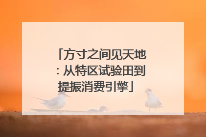方寸之间见天地：从特区试验田到提振消费引擎