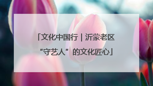 文化中国行｜沂蒙老区“守艺人”的文化匠心