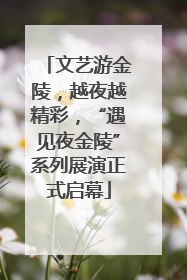 文艺游金陵，越夜越精彩，“遇见夜金陵”系列展演正式启幕