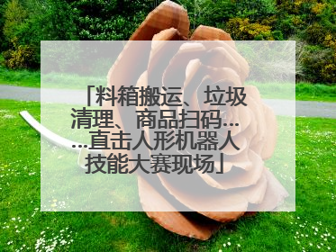 料箱搬运、垃圾清理、商品扫码……直击人形机器人技能大赛现场