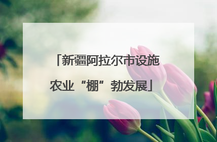 新疆阿拉尔市设施农业“棚”勃发展