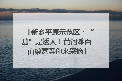 新乡平原示范区：“葚”是诱人！黄河滩百亩桑葚等你来采摘