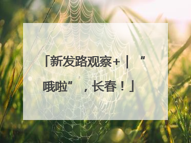 新发路观察+｜“哦啦”，长春！