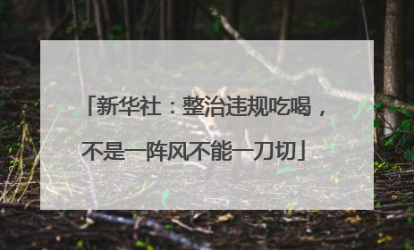 新华社：整治违规吃喝，不是一阵风不能一刀切