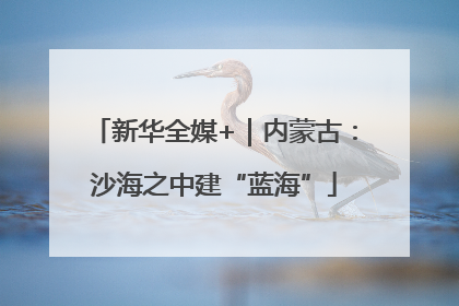 新华全媒+｜内蒙古：沙海之中建“蓝海”
