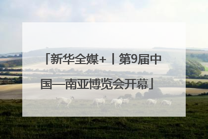 新华全媒+丨第9届中国—南亚博览会开幕