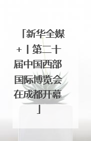 新华全媒+丨第二十届中国西部国际博览会在成都开幕