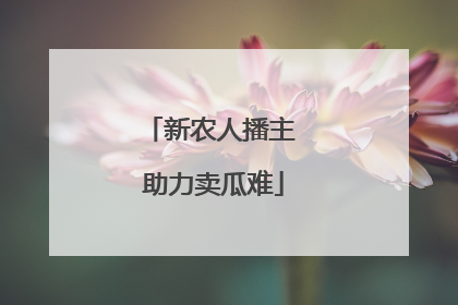 新农人播主 助力卖瓜难