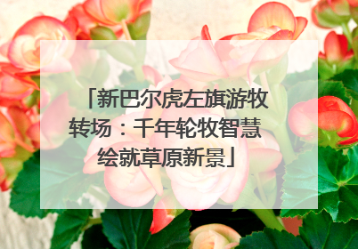 新巴尔虎左旗游牧转场：千年轮牧智慧绘就草原新景