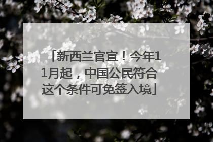 新西兰官宣！今年11月起，中国公民符合这个条件可免签入境
