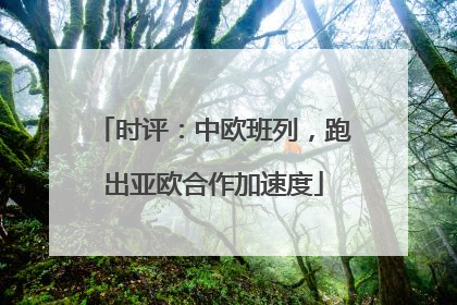 时评：中欧班列，跑出亚欧合作加速度