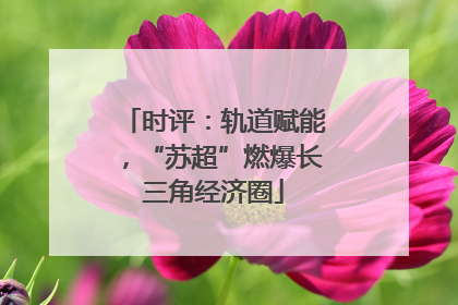时评：轨道赋能，“苏超”燃爆长三角经济圈