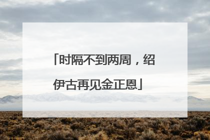 时隔不到两周，绍伊古再见金正恩