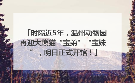 时隔近5年，温州动物园再迎大熊猫“宝弟”“宝妹”，明日正式开馆！