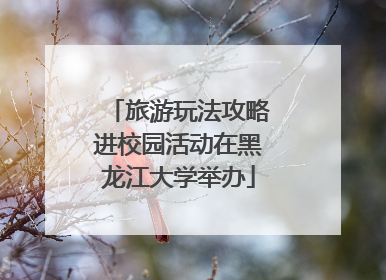 旅游玩法攻略进校园活动在黑龙江大学举办