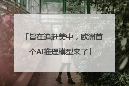 旨在追赶美中，欧洲首个AI推理模型来了