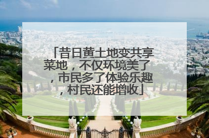 昔日黄土地变共享菜地，不仅环境美了，市民多了体验乐趣，村民还能增收