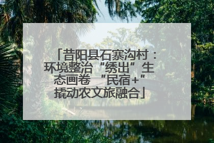 昔阳县石寨沟村：环境整治“绣出”生态画卷 “民宿+”撬动农文旅融合