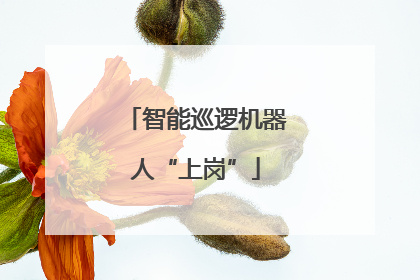 智能巡逻机器人“上岗”