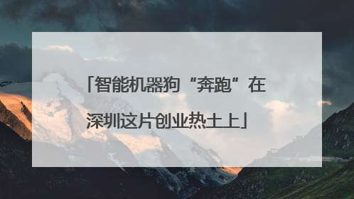 智能机器狗“奔跑”在深圳这片创业热土上