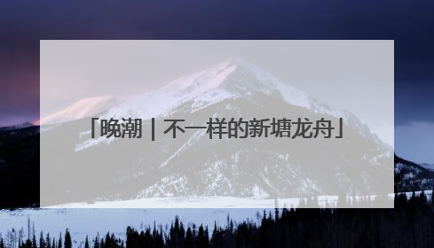 晚潮｜不一样的新塘龙舟