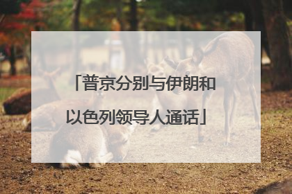 普京分别与伊朗和以色列领导人通话