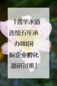 普华永道连续五年承办IBI国际企业孵化器研讨班