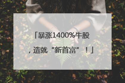 暴涨1400%牛股，造就“新首富”！