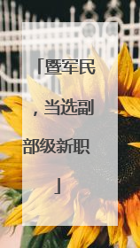 暨军民，当选副部级新职