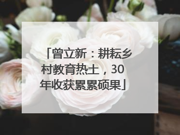 曾立新：耕耘乡村教育热土，30年收获累累硕果