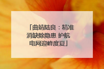 曲靖陆良：精准消缺除隐患 护航电网迎峰度夏