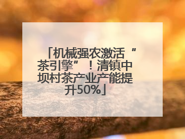 机械强农激活“茶引擎”！清镇中坝村茶产业产能提升50%