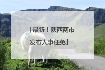 最新！陕西两市发布人事任免
