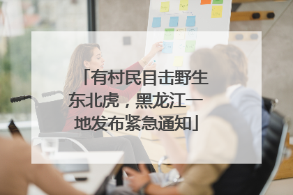 有村民目击野生东北虎，黑龙江一地发布紧急通知
