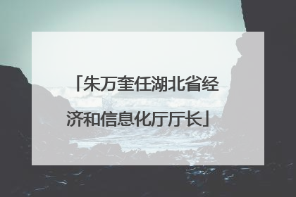 朱万奎任湖北省经济和信息化厅厅长