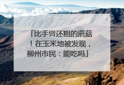 比手臂还粗的蘑菇！在玉米地被发现，柳州市民：能吃吗
