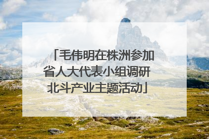 毛伟明在株洲参加省人大代表小组调研北斗产业主题活动