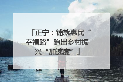 正宁：铺就惠民“幸福路”跑出乡村振兴“加速度”