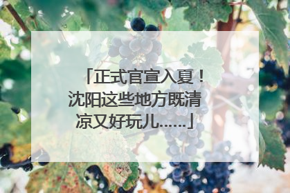 正式官宣入夏！沈阳这些地方既清凉又好玩儿……