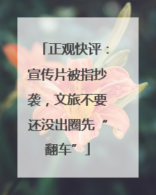 正观快评：宣传片被指抄袭，文旅不要还没出圈先“翻车”