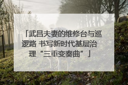 武昌夫妻的维修台与巡逻路 书写新时代基层治理“三重变奏曲”
