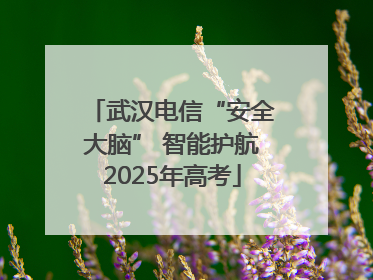 武汉电信“安全大脑” 智能护航2025年高考