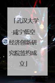 武汉大学·咸宁低空经济创新研究院签约成立