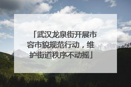 武汉龙泉街开展市容市貌规范行动，维护街道秩序不动摇
