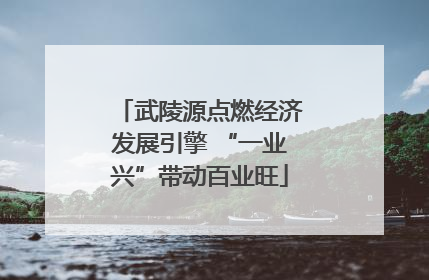 武陵源点燃经济发展引擎 “一业兴”带动百业旺